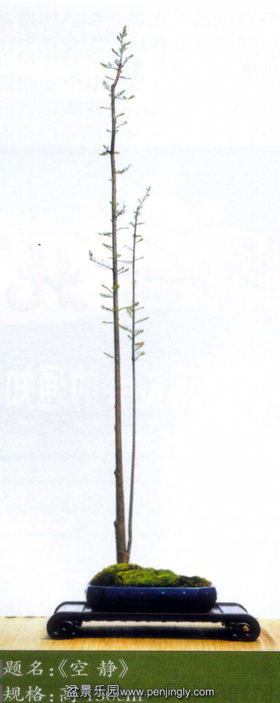 ѧ-ɼľ010-5 .jpg
