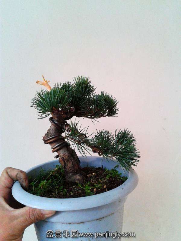 2013-10-13 16.12.43.jpg