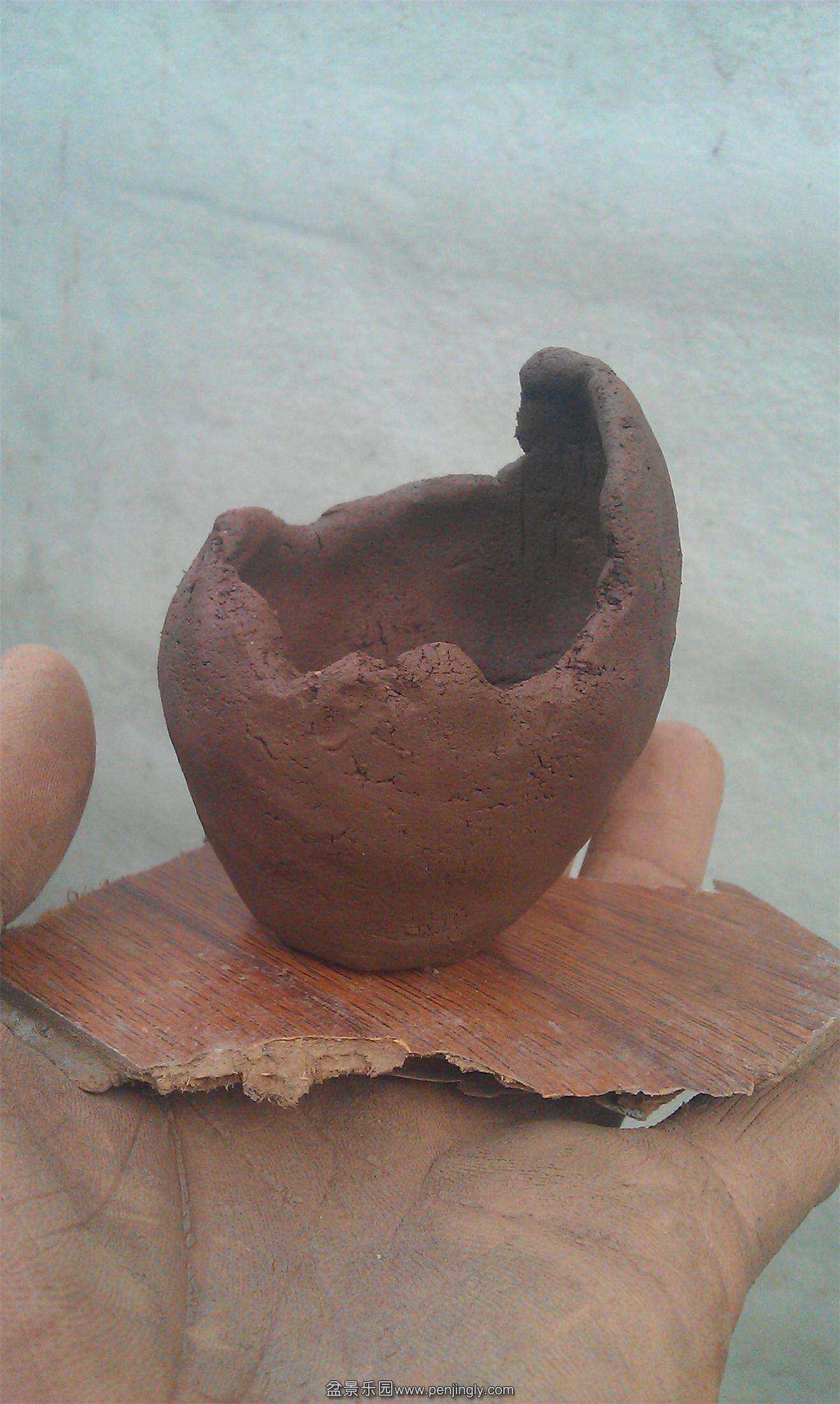 IMAG0334.jpg
