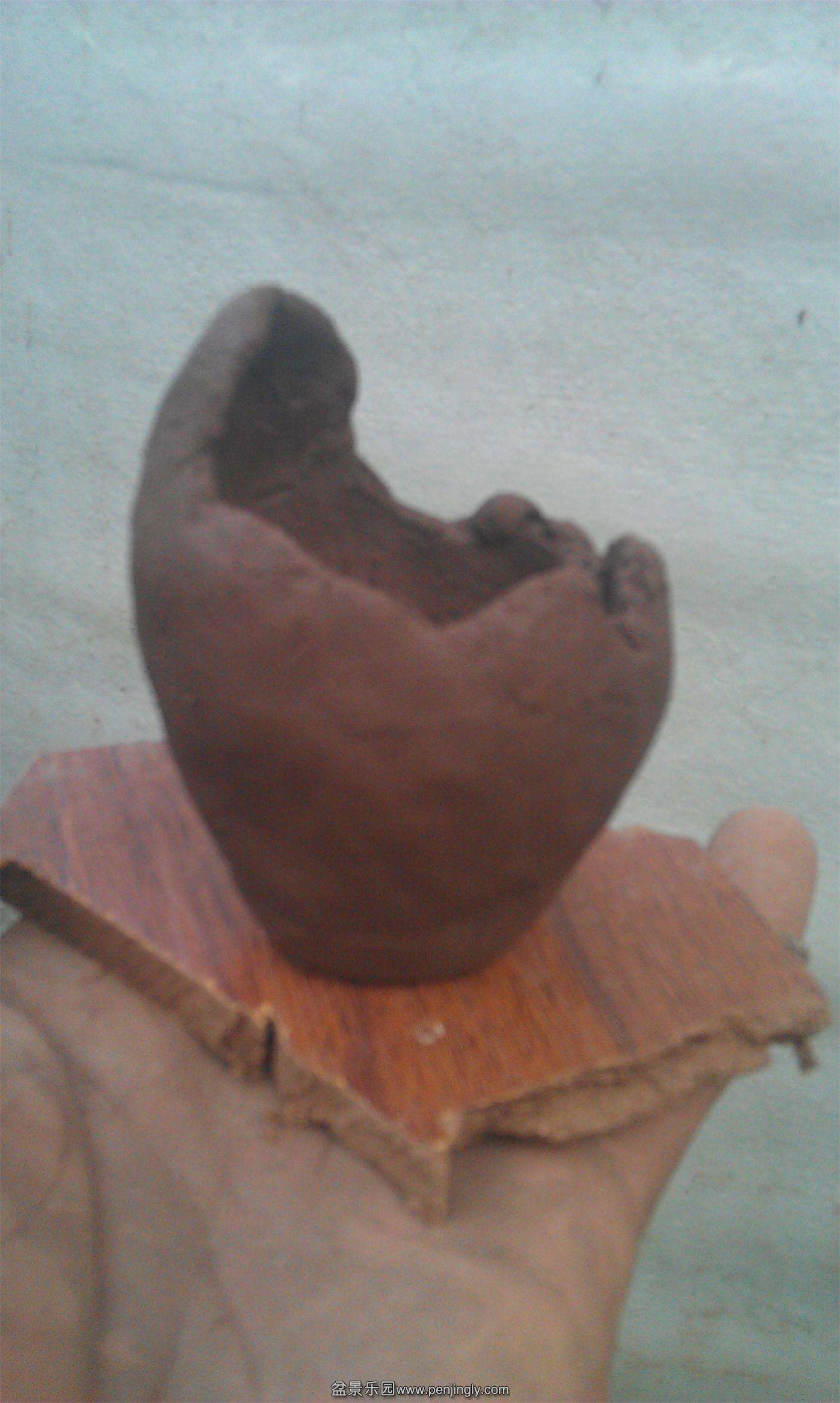 IMAG0335.jpg