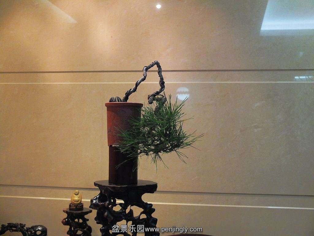 DSCF6451.jpg