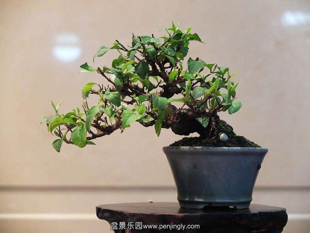DSCF6590.jpg