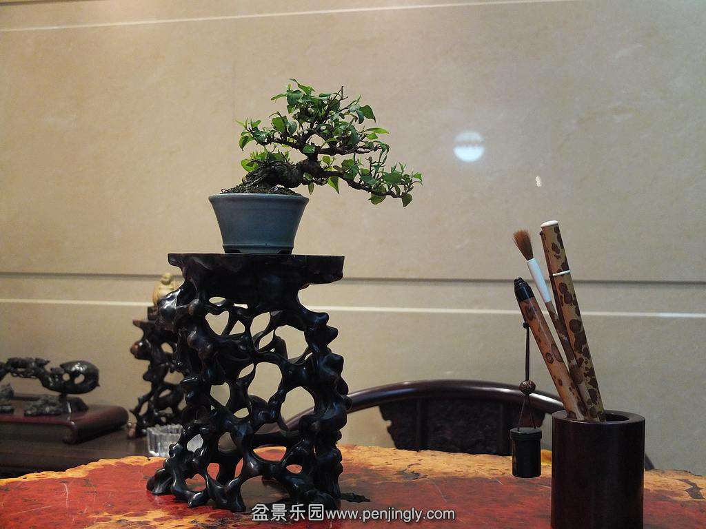 DSCF6593.jpg