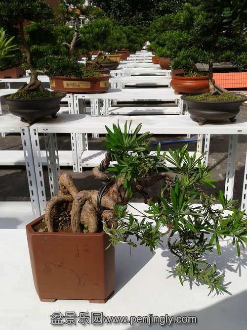 2013-10-15 13.10.53.jpg