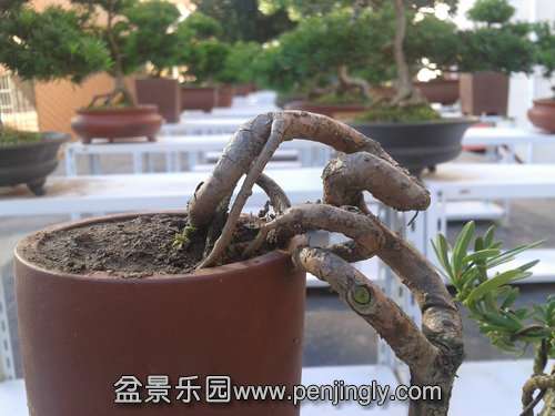 2013-10-13 15.15.05.jpg