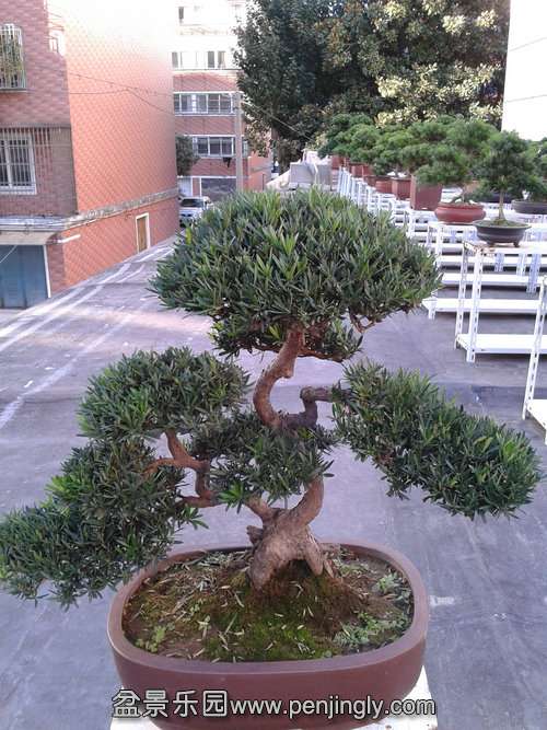 2013-10-13 16.07.14.jpg