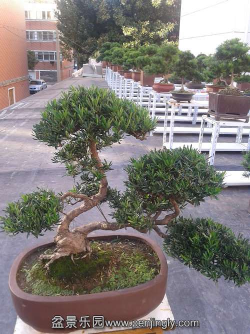 2013-10-13 16.10.25.jpg