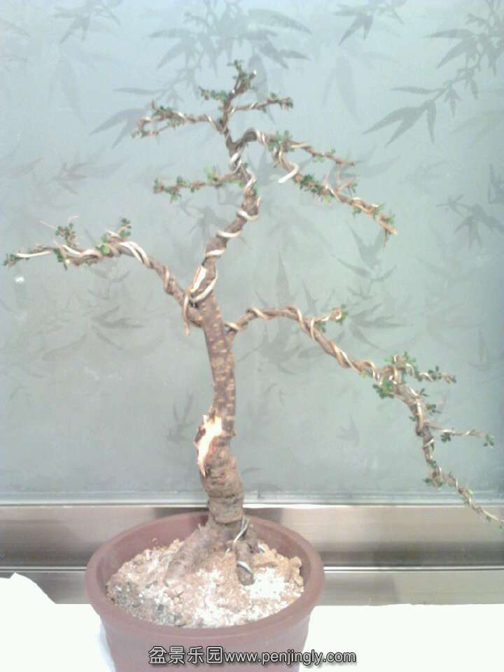 QQͼƬ20131015203353.jpg
