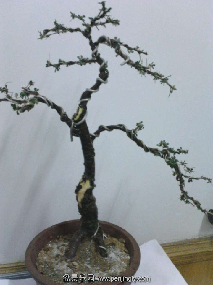 QQͼƬ20131015203348.jpg