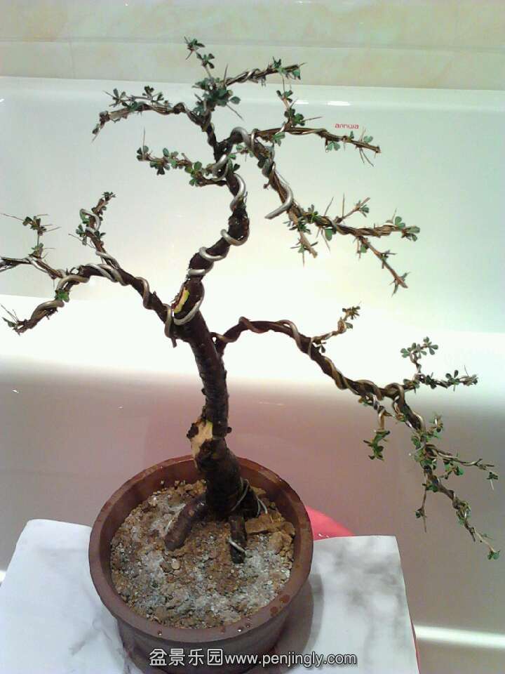 QQͼƬ20131015203344.jpg