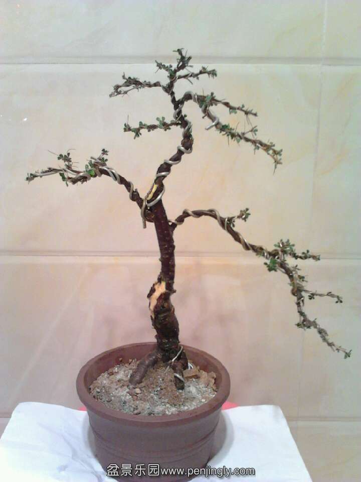 QQͼƬ20131015203339.jpg