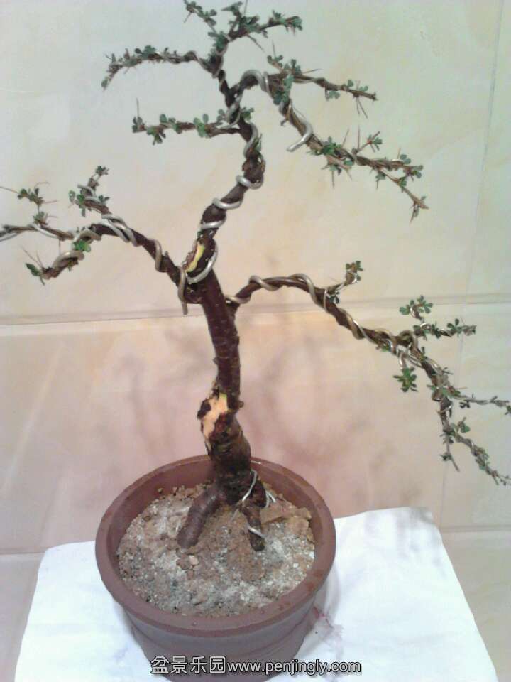 QQͼƬ20131015203329.jpg