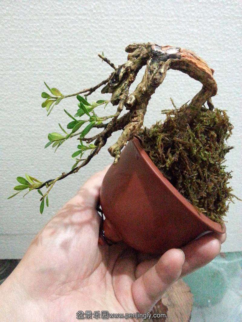 20131016_190302_.jpg