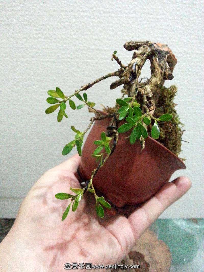 20131016_190255_.jpg