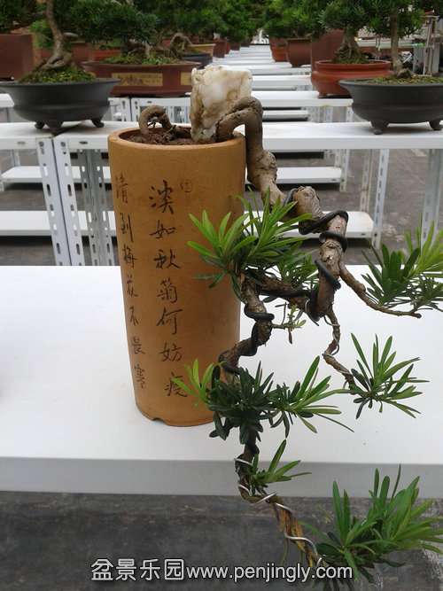 2013-10-16 13.13.12.jpg