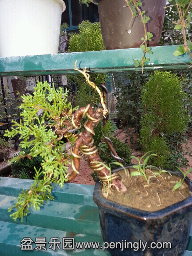 20131015_071721.jpg
