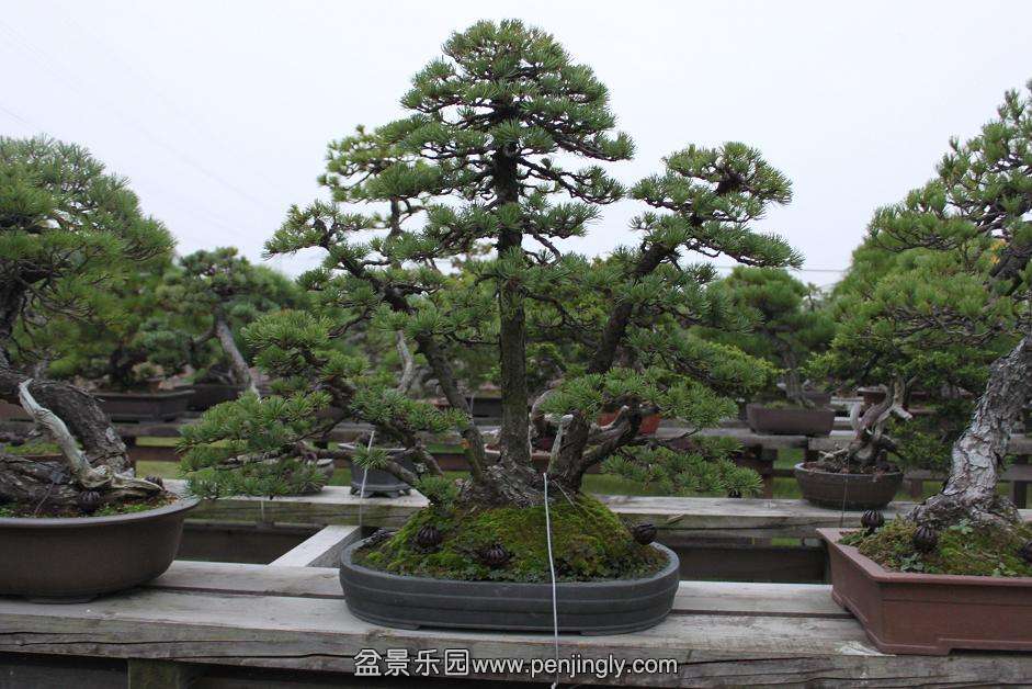 Ƭ 015.jpg