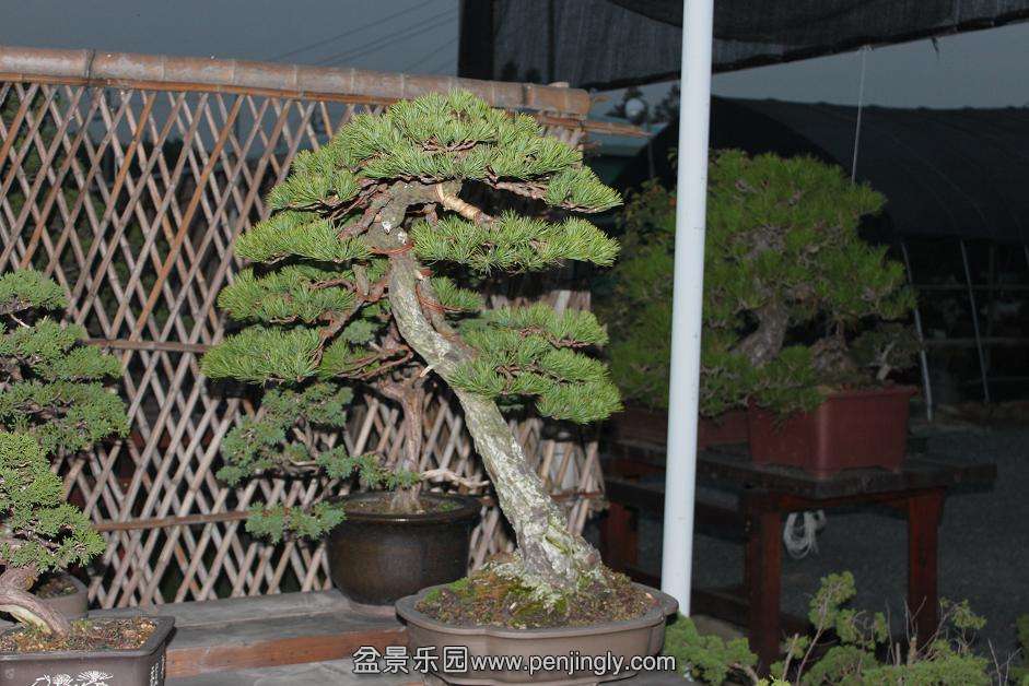 Ƭ 024.jpg