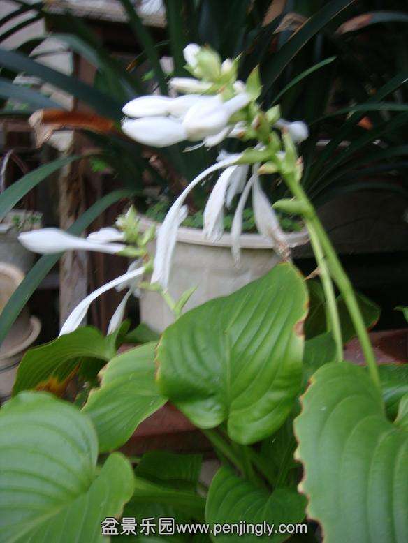 DSC05448.JPG