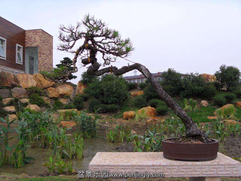 SDC12781.JPG