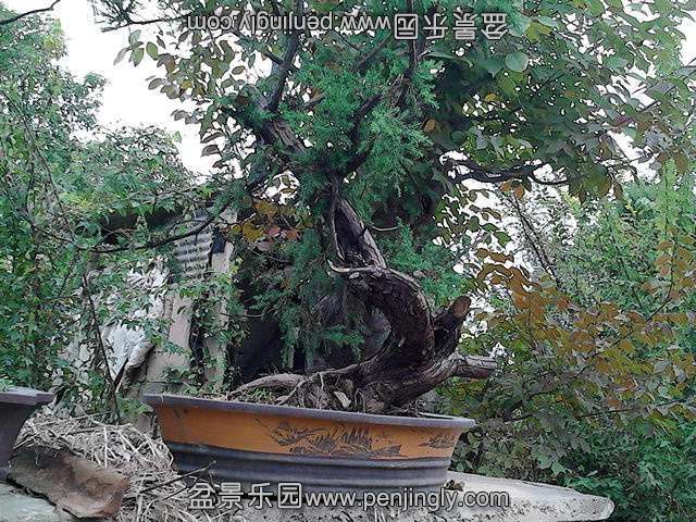 124135y8nao8yym8do1098.jpg