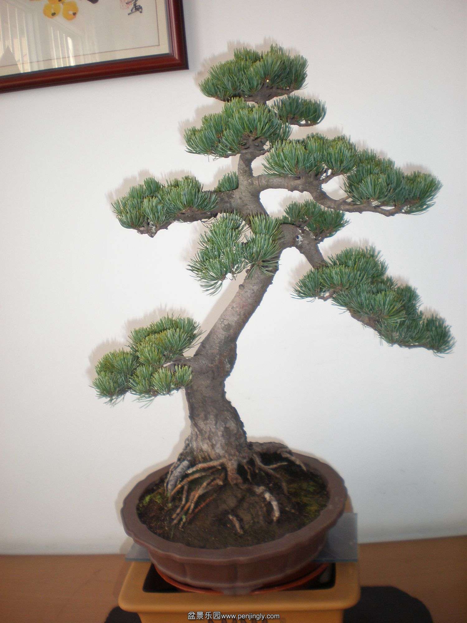 P1010225_.jpg