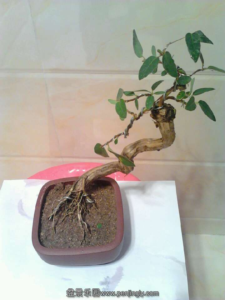 QQͼƬ20131018211114.jpg