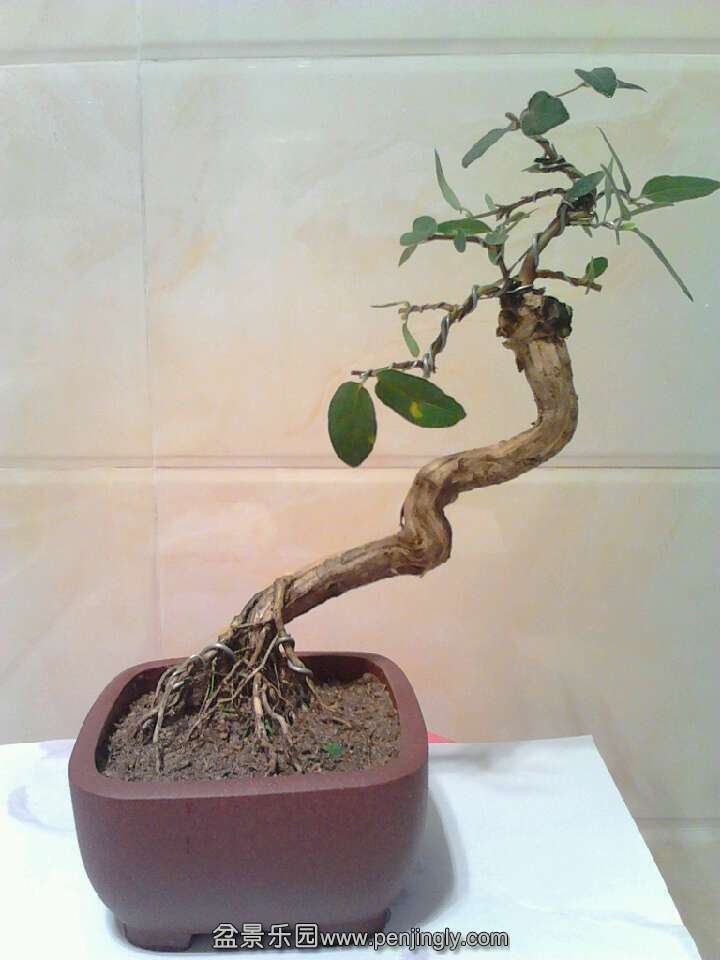 QQͼƬ20131018211119.jpg