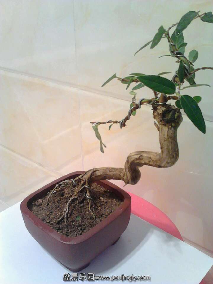 QQͼƬ20131018211124.jpg