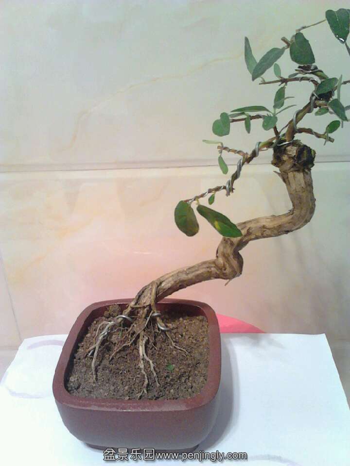 QQͼƬ20131018211139.jpg