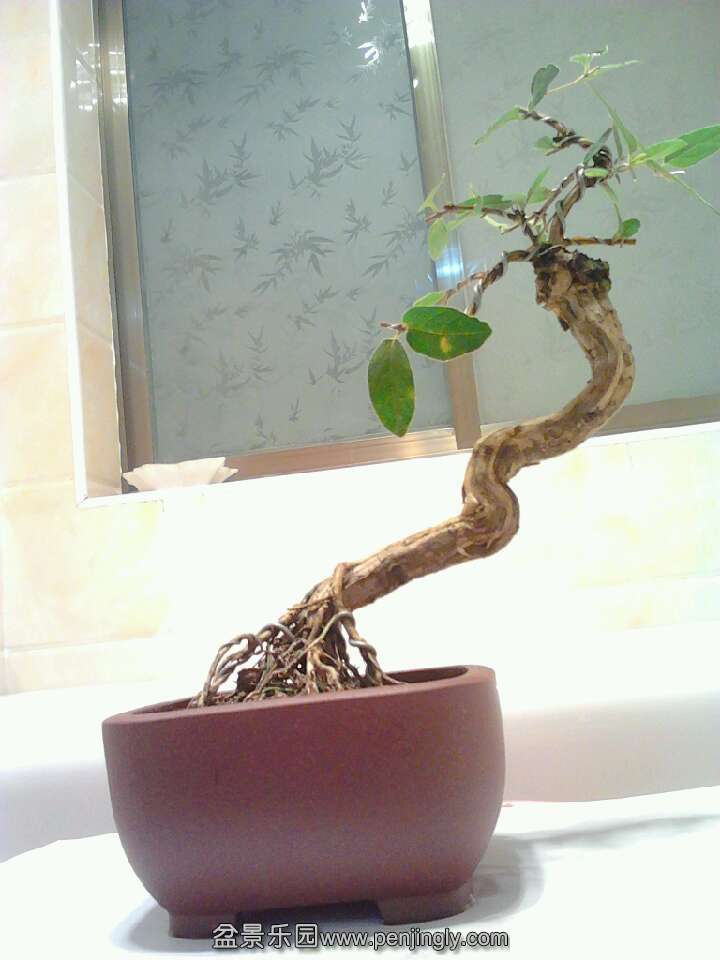 QQͼƬ20131018211152.jpg