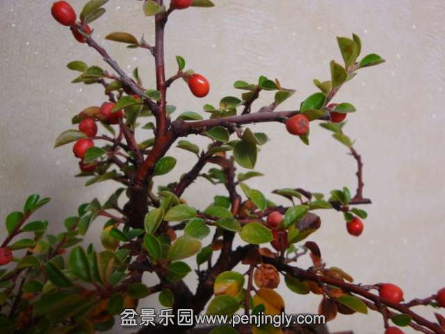 DSC05794.JPG