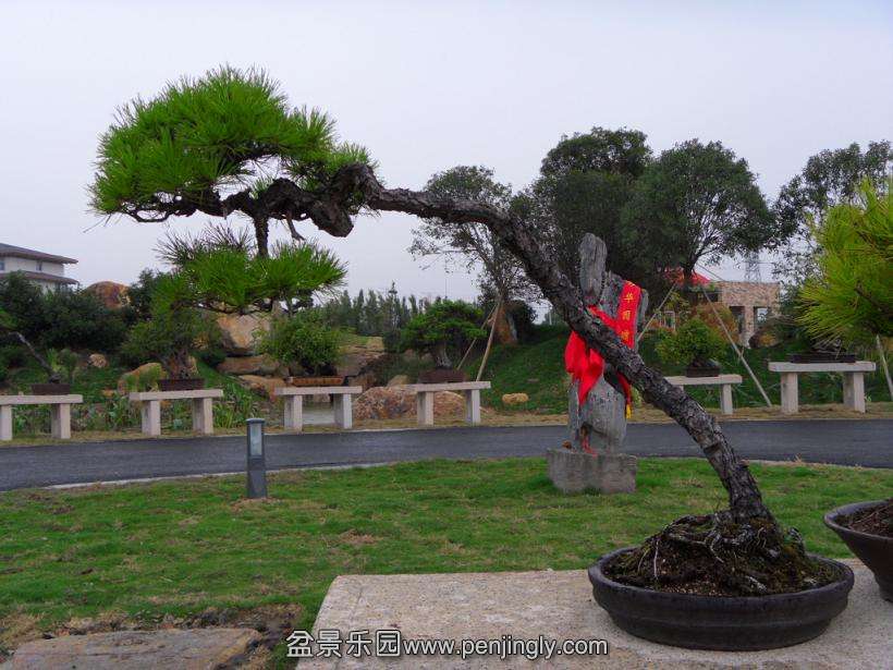 SDC12785.JPG