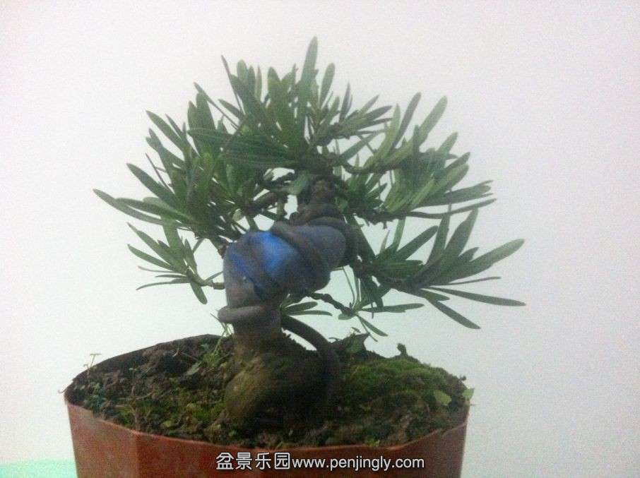 02.jpg