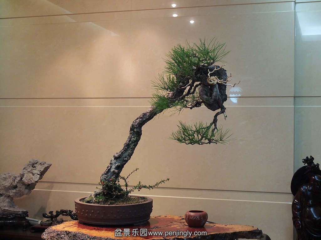 DSCF7373.jpg
