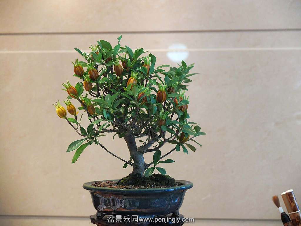 DSCF6985.jpg