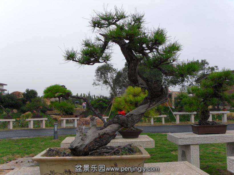 SDC12788.JPG