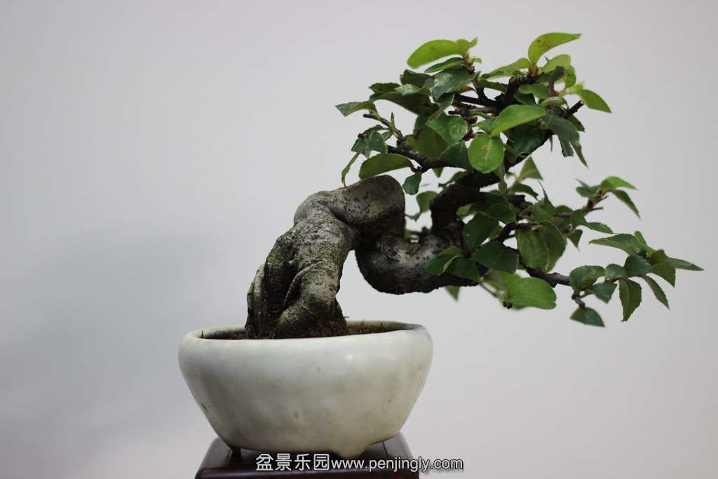2013-08-2917.jpg