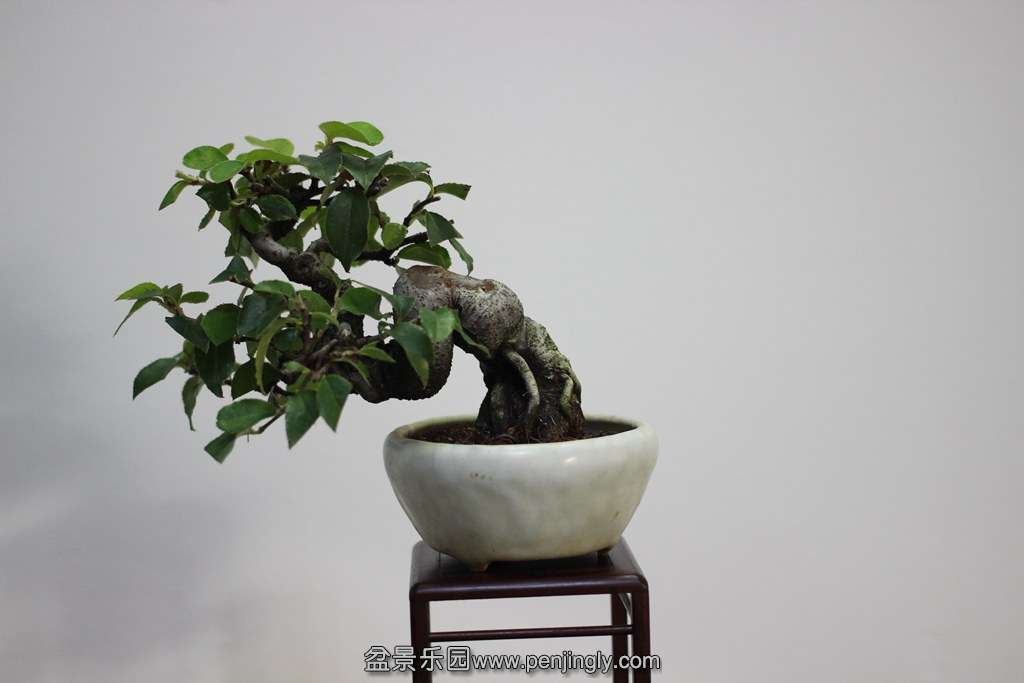 2013-08-2919.jpg