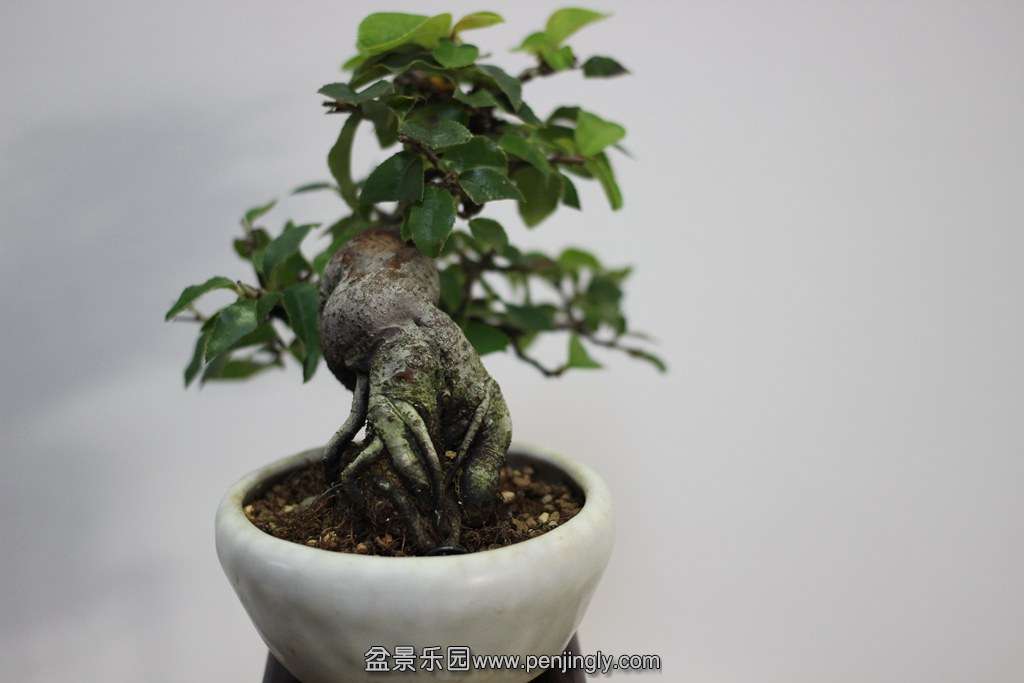 2013-08-2918.jpg