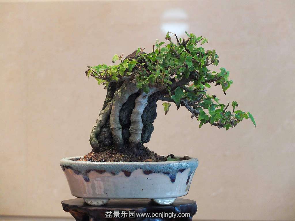 DSCF6992.jpg