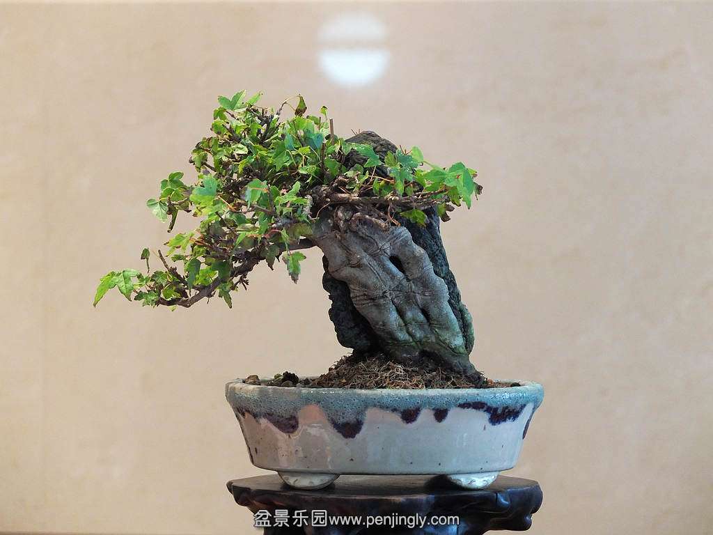 DSCF6997.jpg