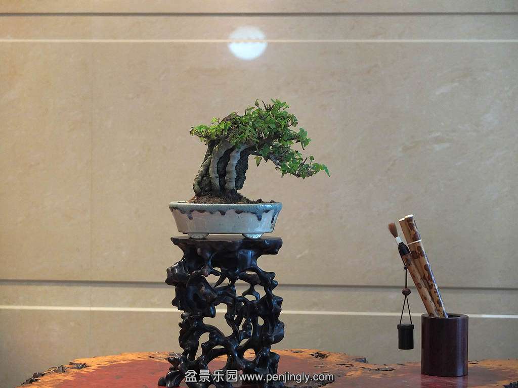 DSCF7001.jpg