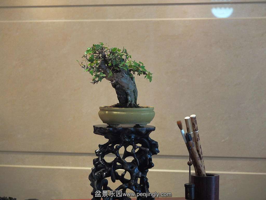 DSCF7188.jpg