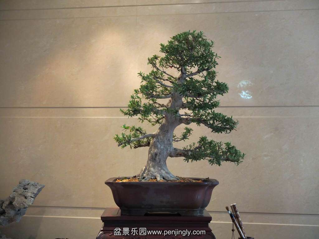 DSCF7139.jpg