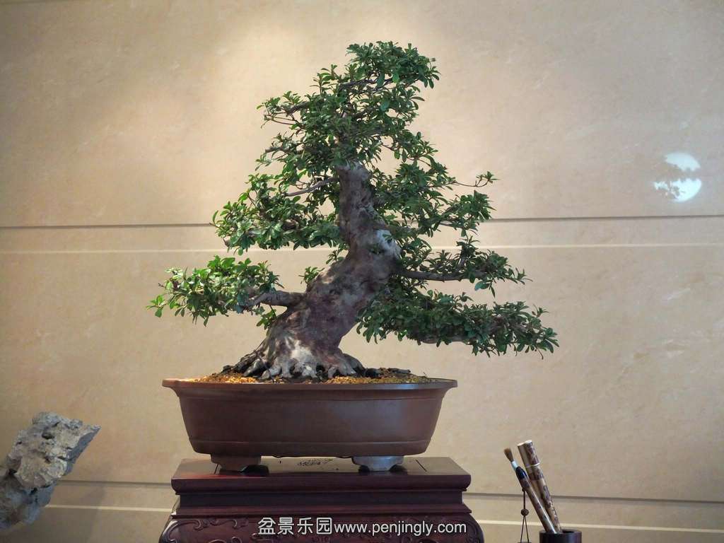 DSCF7157.jpg
