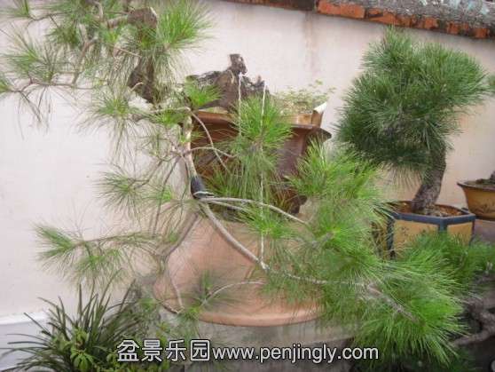 SDC13562.JPG