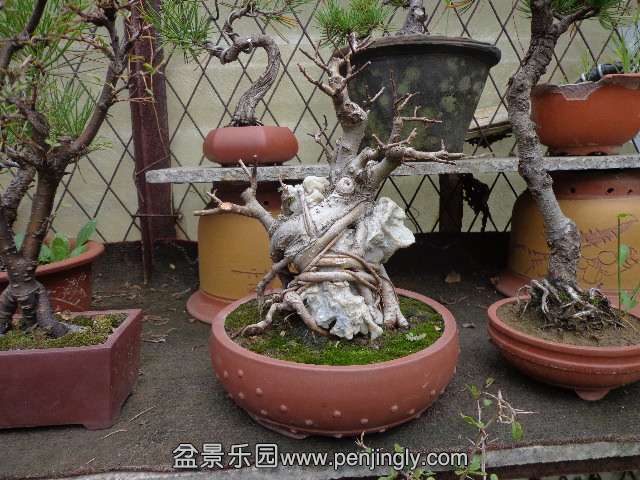 DSC00310.JPG
