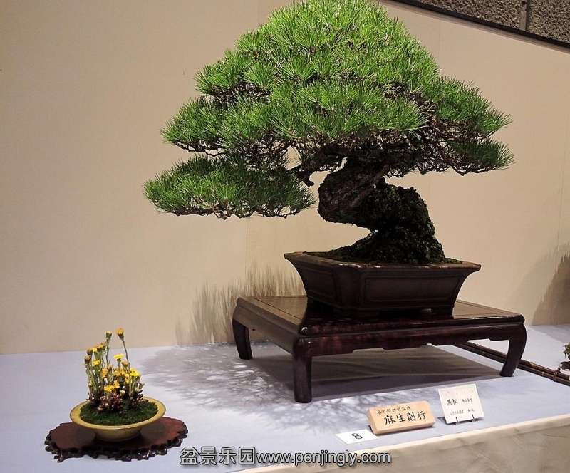 Kokufu Ten 2013 005.jpg