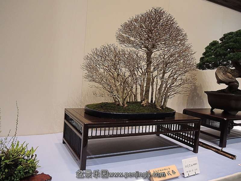 Kokufu Ten 2013 044.jpg